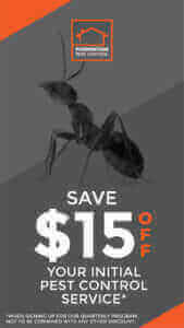 Pest Control Special Offer Foundation Pest Control